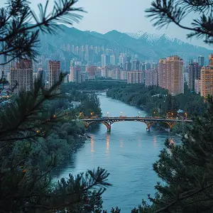 头条金币活动攻略